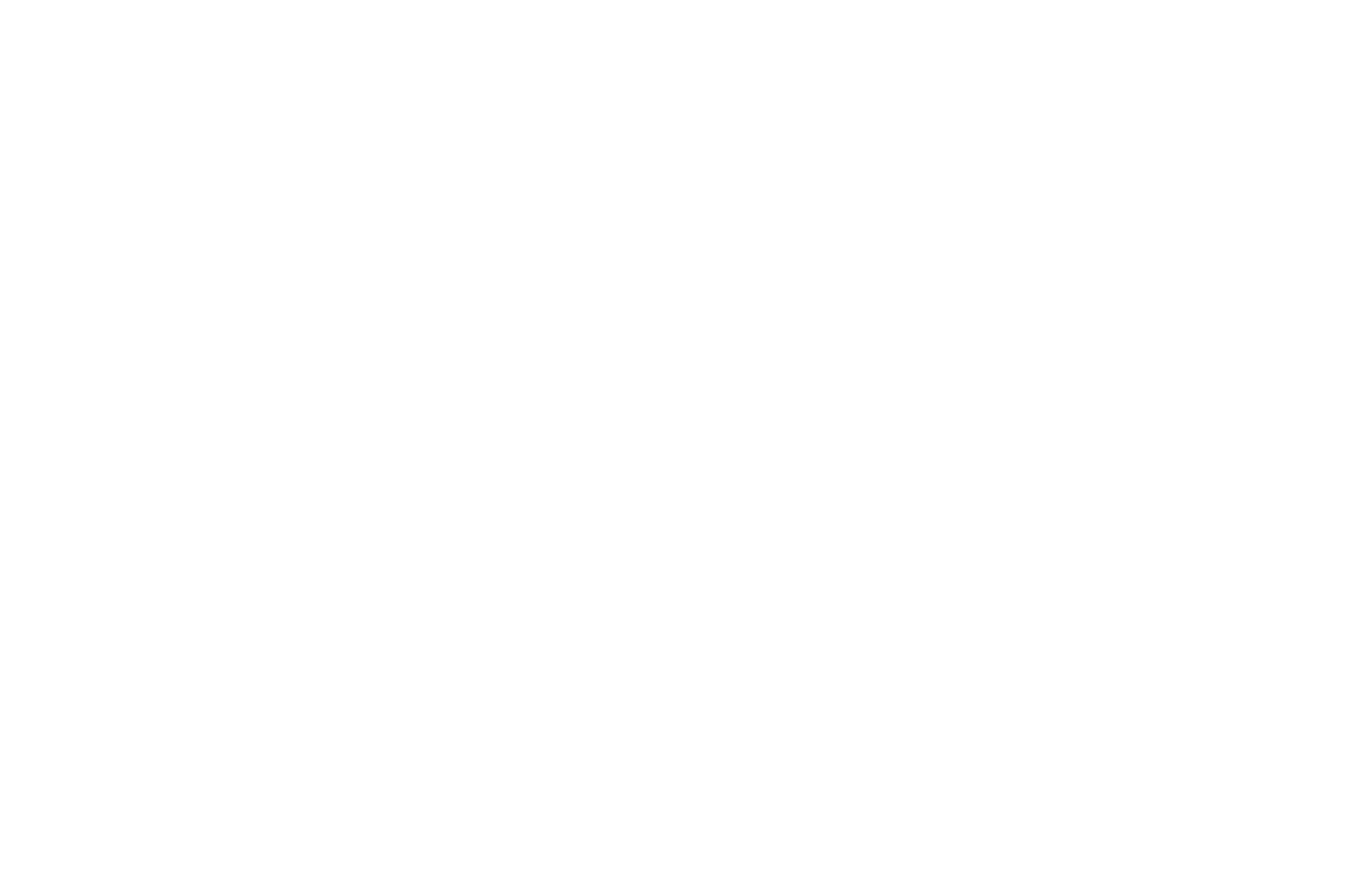 Special Mention