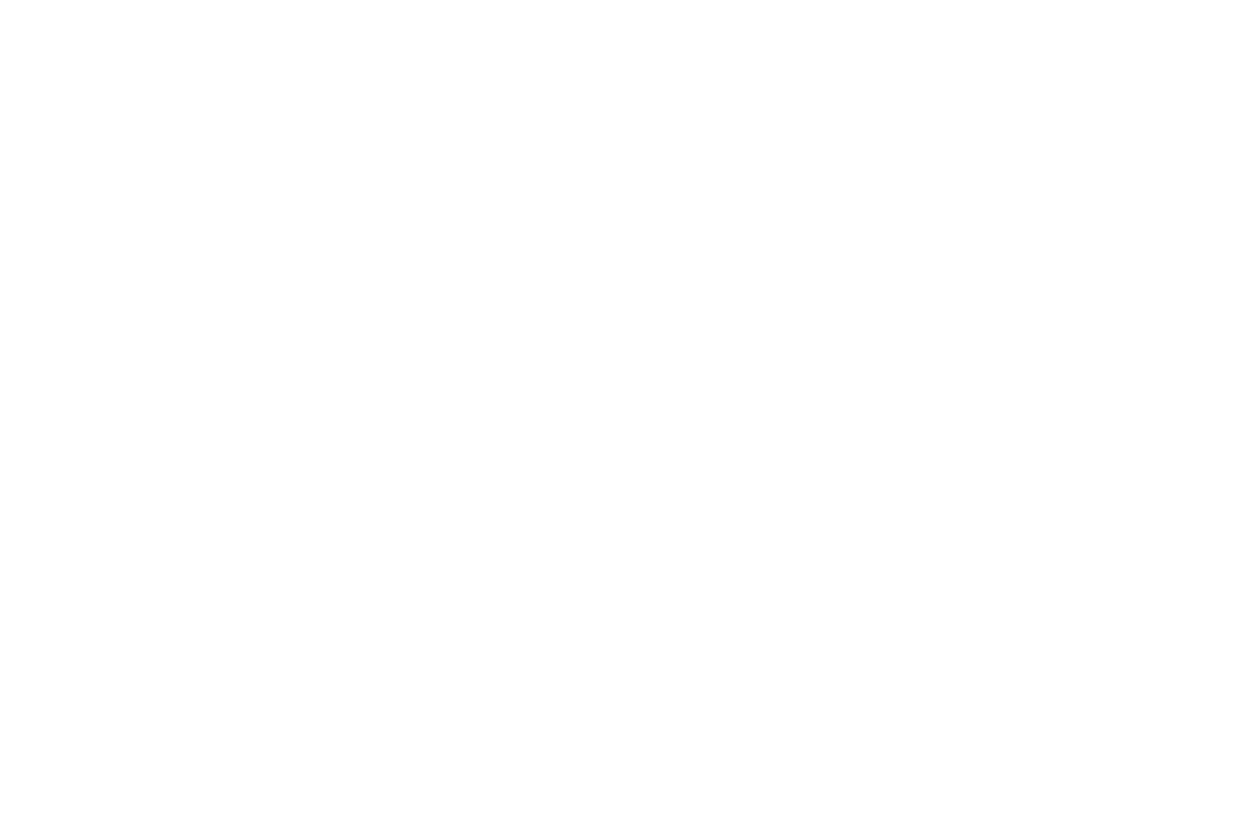 Best Feature Film